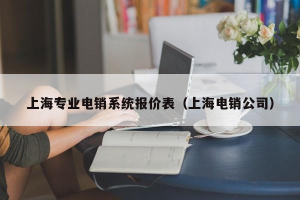 上海专业电销系统报价表（上海电销公司）